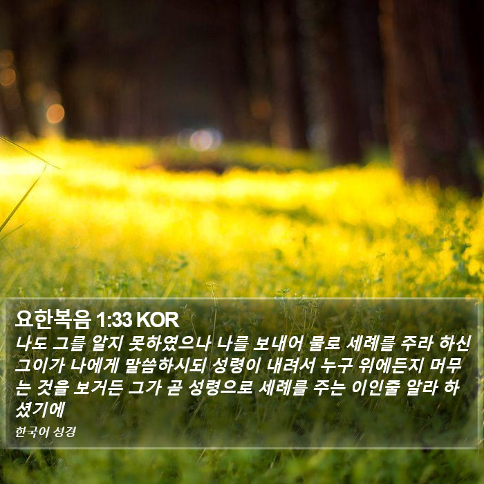 요한복음 1:33 KOR Bible Study