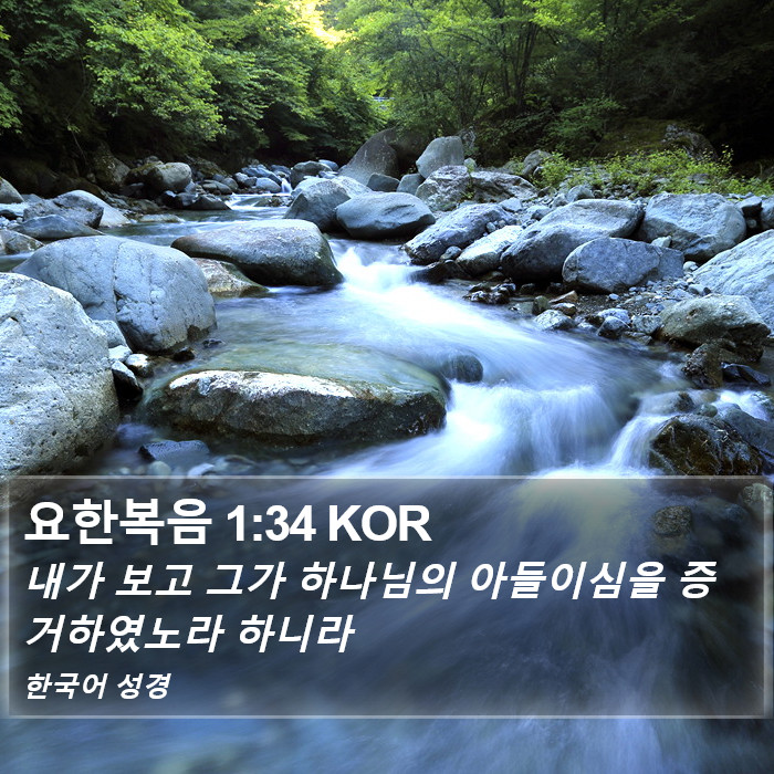 요한복음 1:34 KOR Bible Study