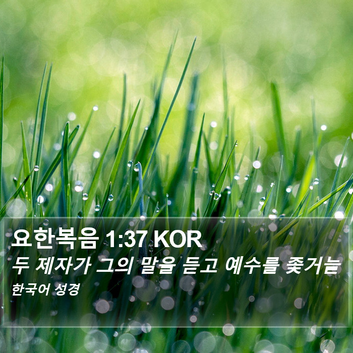 요한복음 1:37 KOR Bible Study