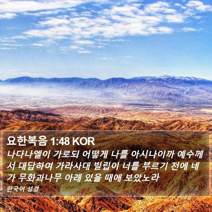 요한복음 1:48 KOR Bible Study