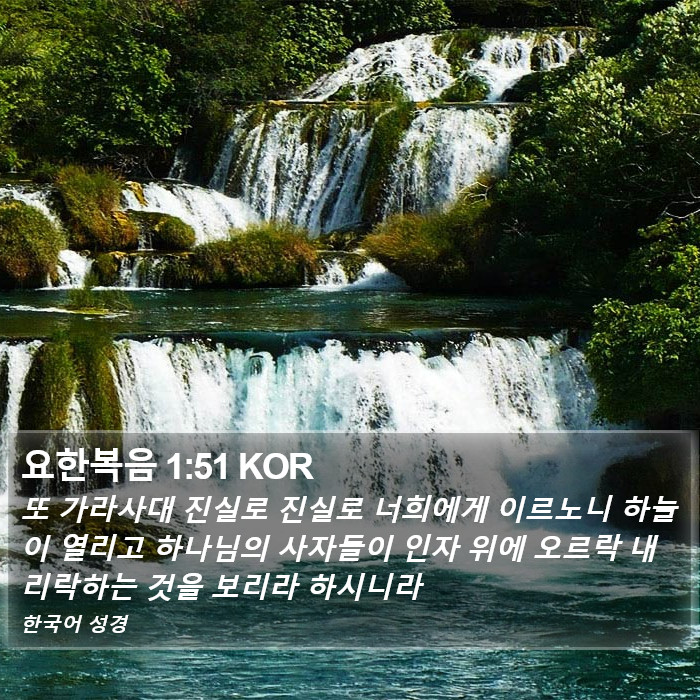 요한복음 1:51 KOR Bible Study