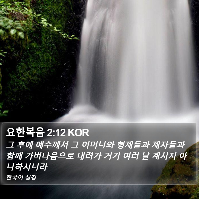 요한복음 2:12 KOR Bible Study