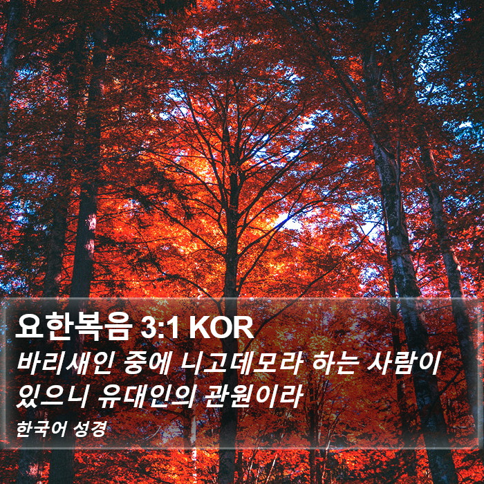 요한복음 3:1 KOR Bible Study