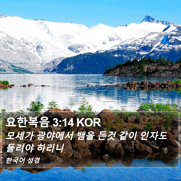 요한복음 3:14 KOR Bible Study