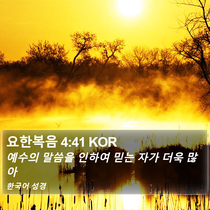 요한복음 4:41 KOR Bible Study