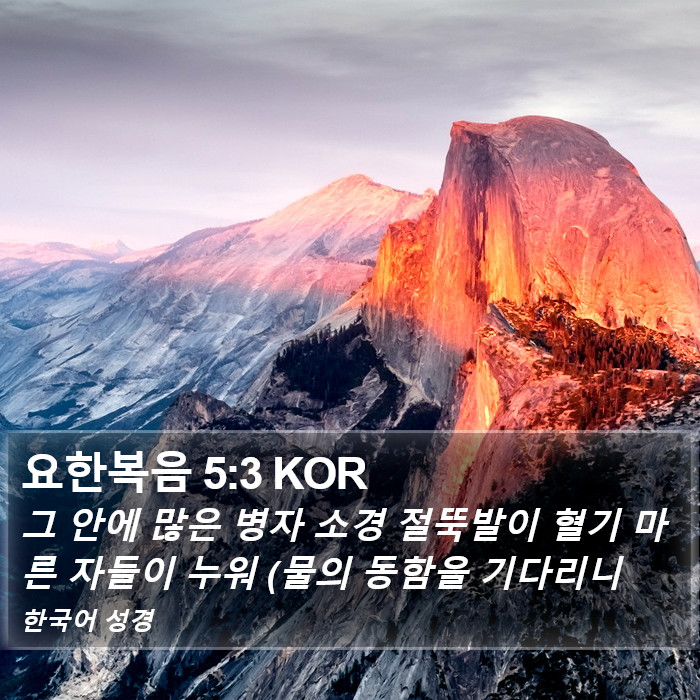 요한복음 5:3 KOR Bible Study