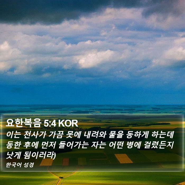 요한복음 5:4 KOR Bible Study