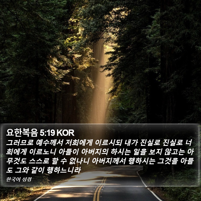 요한복음 5:19 KOR Bible Study