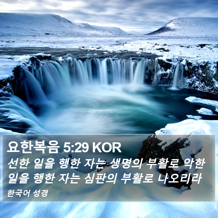 요한복음 5:29 KOR Bible Study