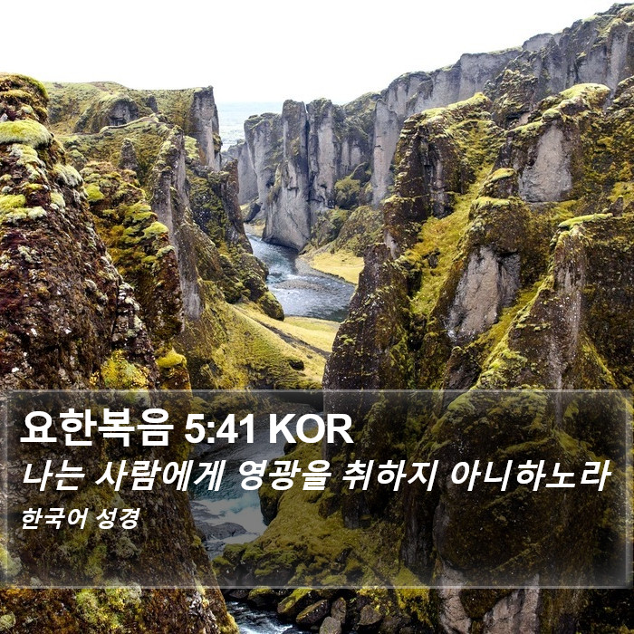 요한복음 5:41 KOR Bible Study