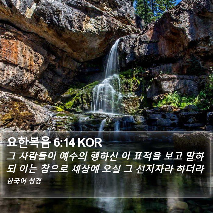 요한복음 6:14 KOR Bible Study