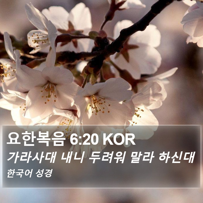 요한복음 6:20 KOR Bible Study