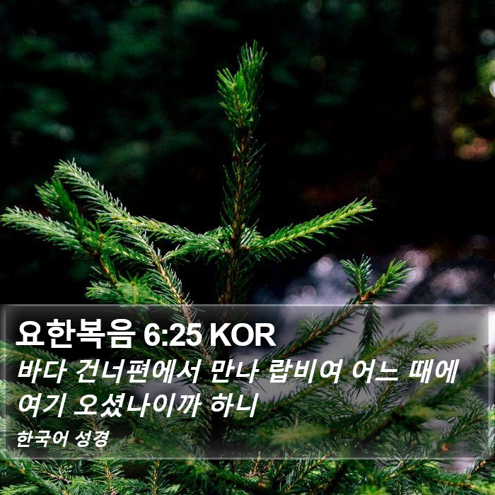 요한복음 6:25 KOR Bible Study