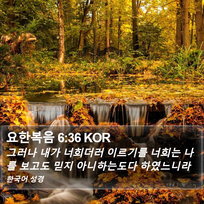 요한복음 6:36 KOR Bible Study