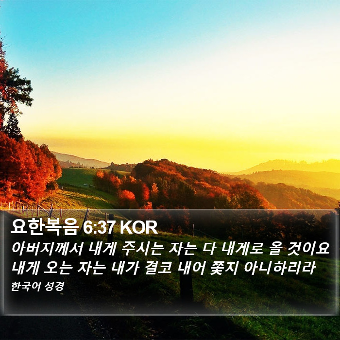 요한복음 6:37 KOR Bible Study