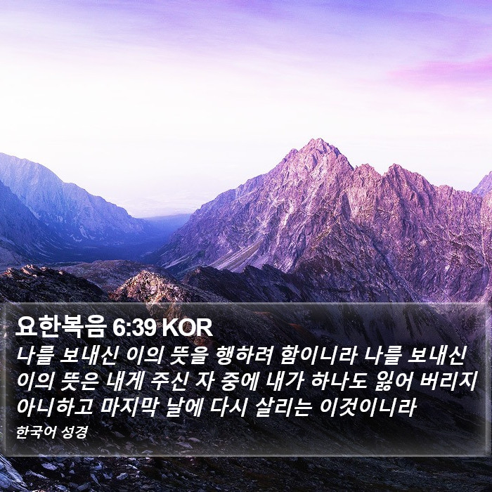 요한복음 6:39 KOR Bible Study