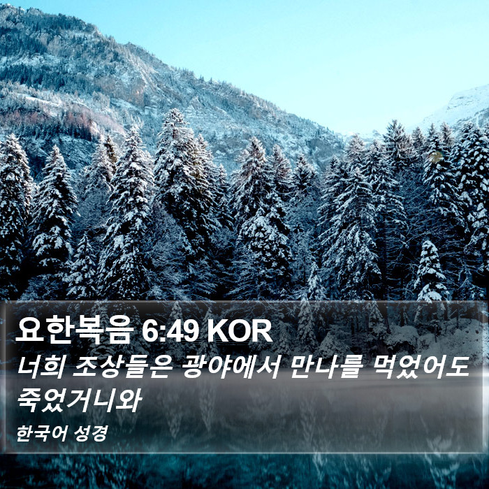 요한복음 6:49 KOR Bible Study