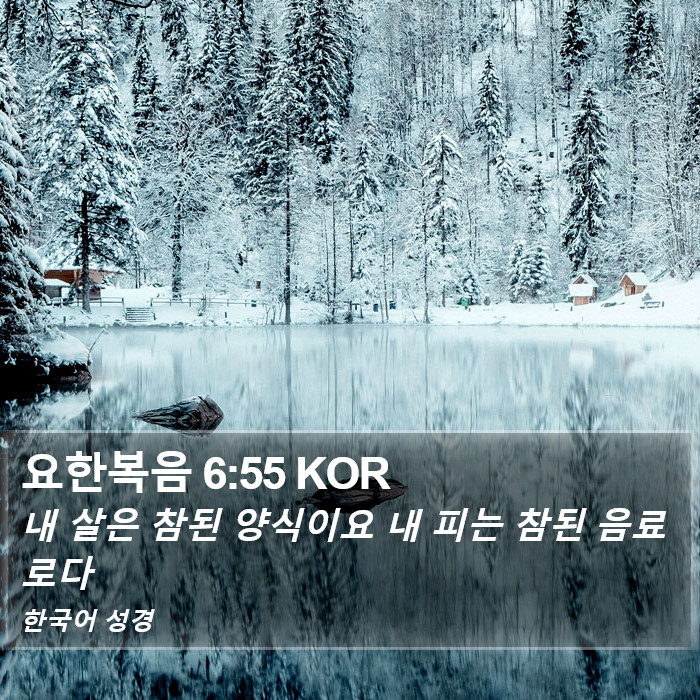 요한복음 6:55 KOR Bible Study