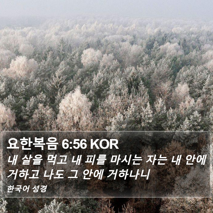 요한복음 6:56 KOR Bible Study