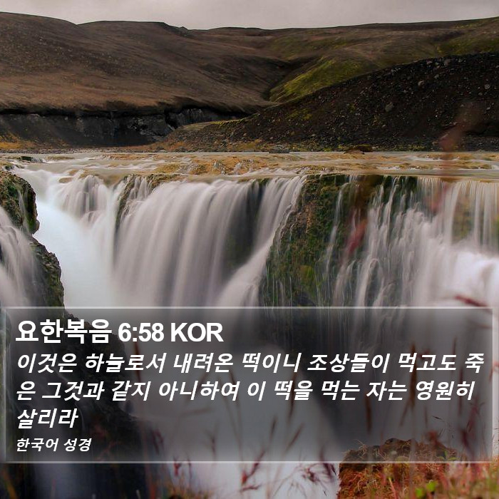 요한복음 6:58 KOR Bible Study