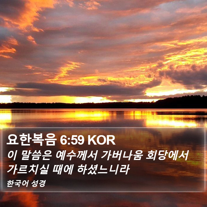 요한복음 6:59 KOR Bible Study