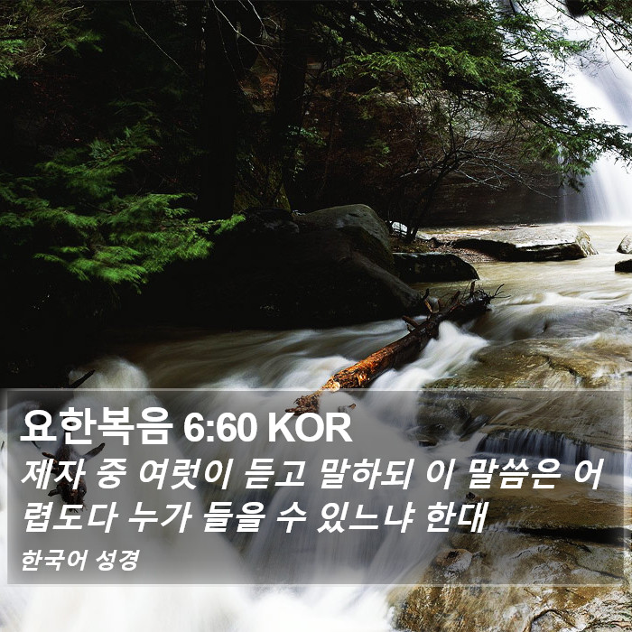 요한복음 6:60 KOR Bible Study