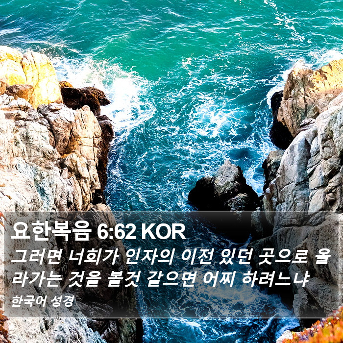 요한복음 6:62 KOR Bible Study