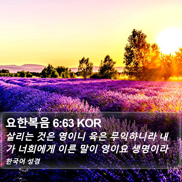 요한복음 6:63 KOR Bible Study