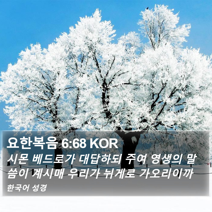 요한복음 6:68 KOR Bible Study