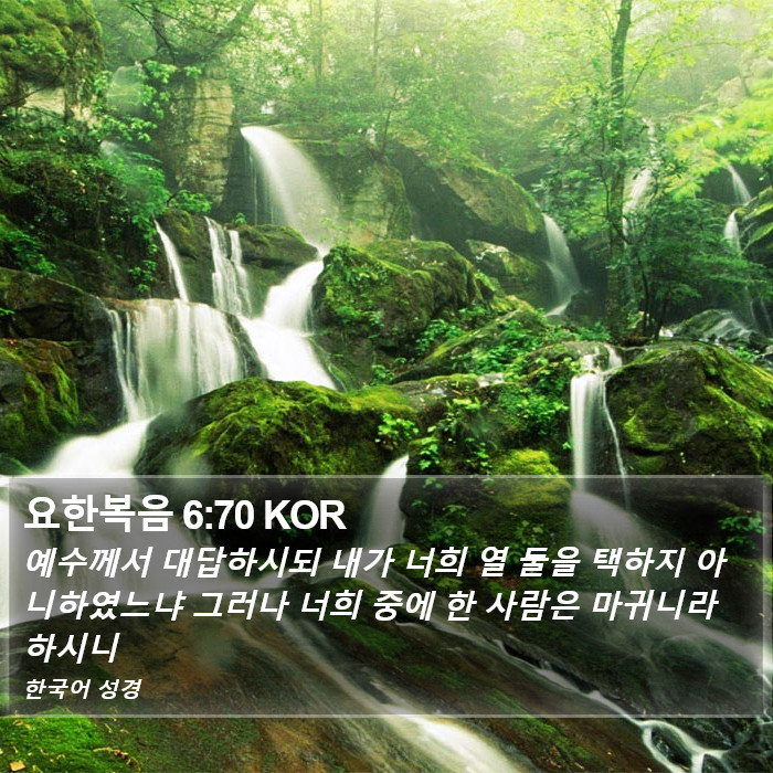 요한복음 6:70 KOR Bible Study