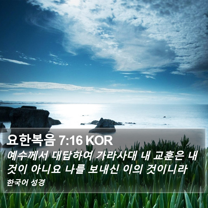 요한복음 7:16 KOR Bible Study