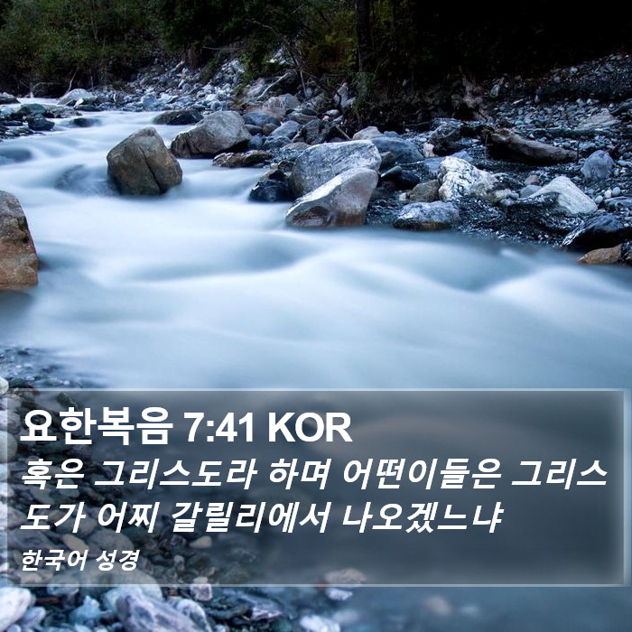 요한복음 7:41 KOR Bible Study