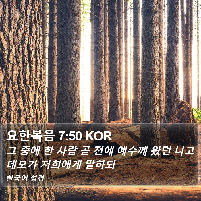 요한복음 7:50 KOR Bible Study