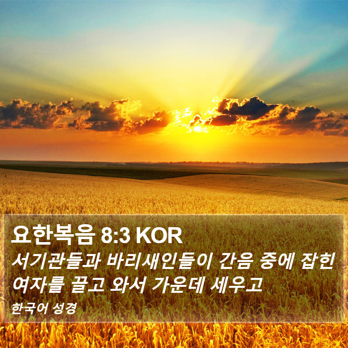 요한복음 8:3 KOR Bible Study