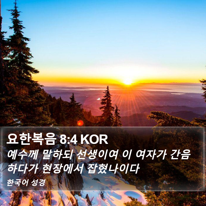 요한복음 8:4 KOR Bible Study