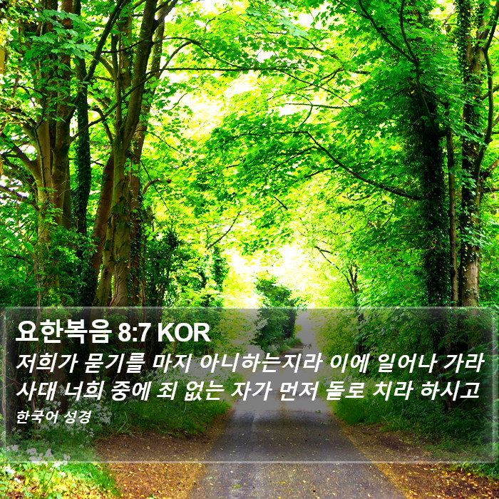 요한복음 8:7 KOR Bible Study