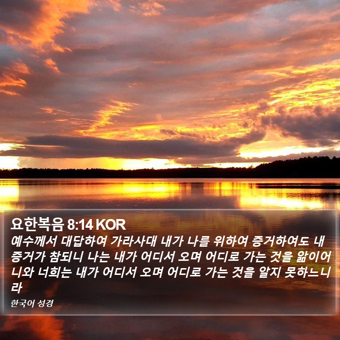 요한복음 8:14 KOR Bible Study