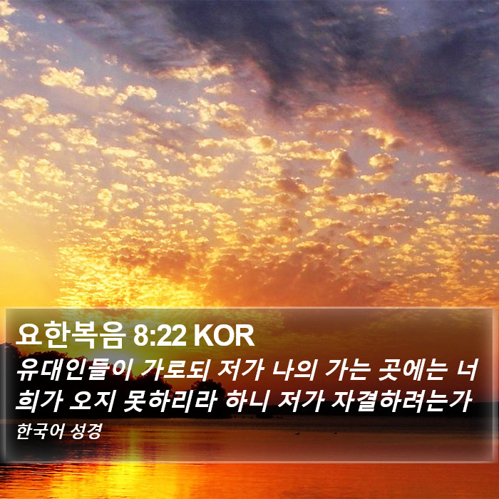 요한복음 8:22 KOR Bible Study