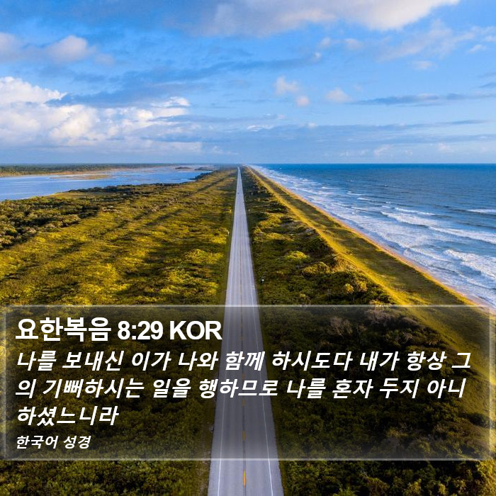 요한복음 8:29 KOR Bible Study