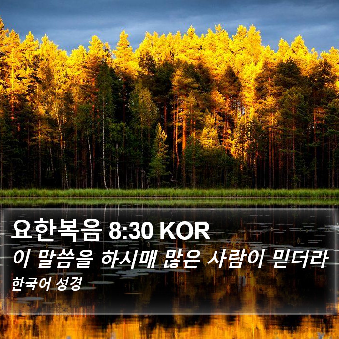 요한복음 8:30 KOR Bible Study