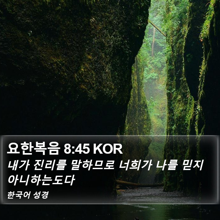 요한복음 8:45 KOR Bible Study