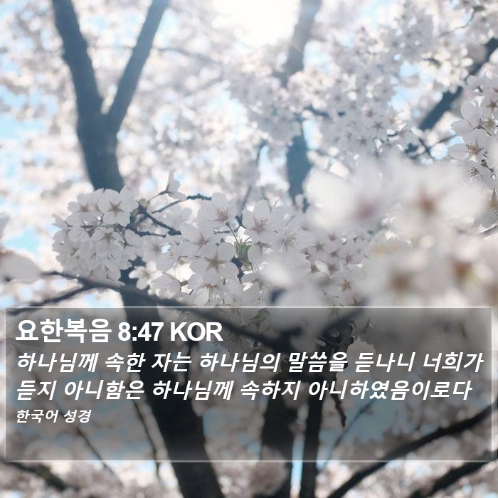 요한복음 8:47 KOR Bible Study