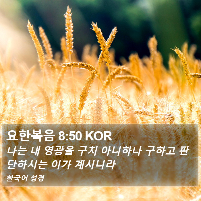 요한복음 8:50 KOR Bible Study