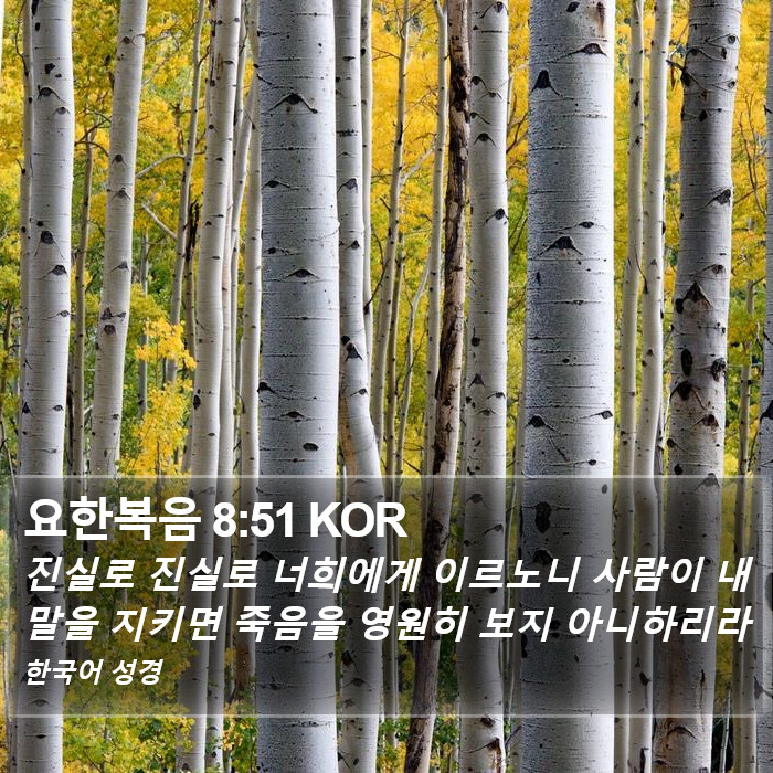 요한복음 8:51 KOR Bible Study