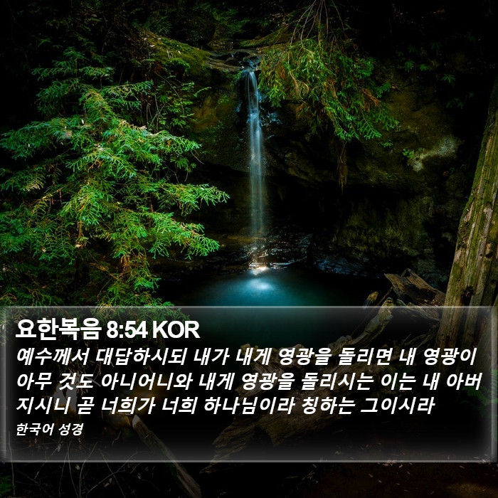 요한복음 8:54 KOR Bible Study