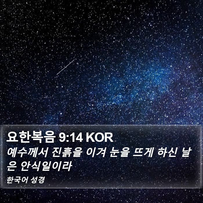 요한복음 9:14 KOR Bible Study