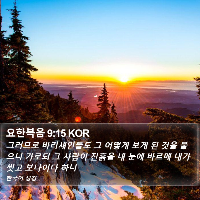 요한복음 9:15 KOR Bible Study