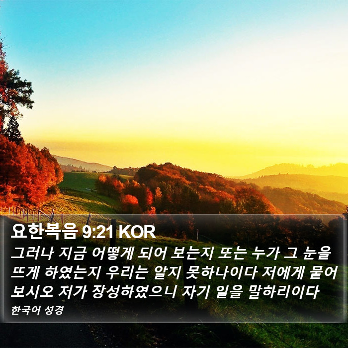 요한복음 9:21 KOR Bible Study