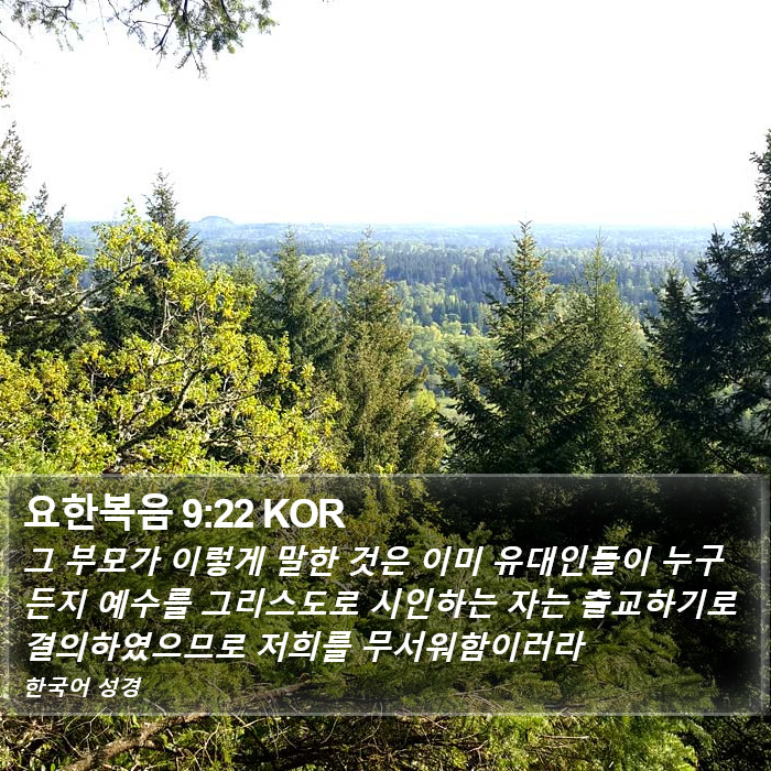 요한복음 9:22 KOR Bible Study