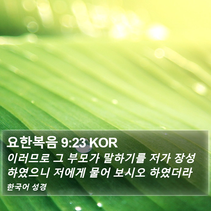 요한복음 9:23 KOR Bible Study